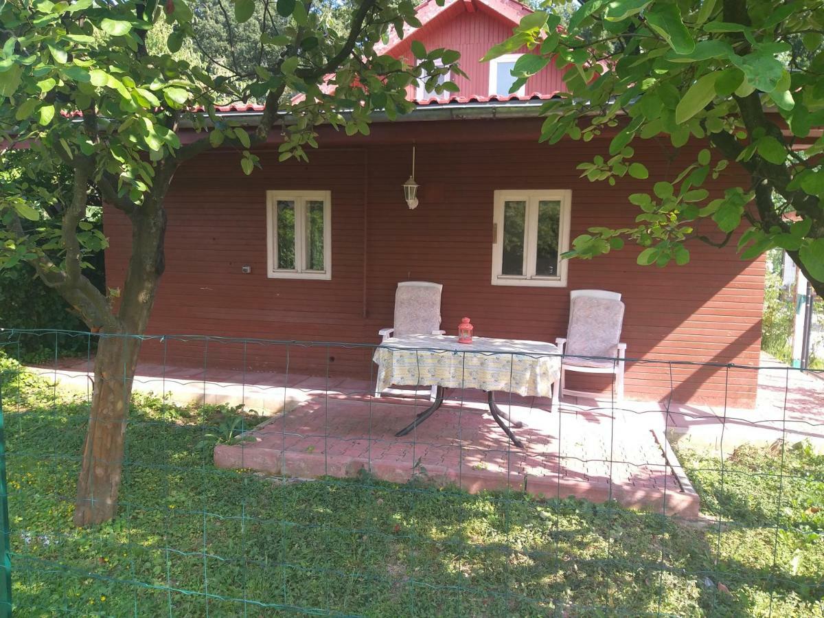 Ferienwohnung Rustic Country House In Snagov Exterior foto